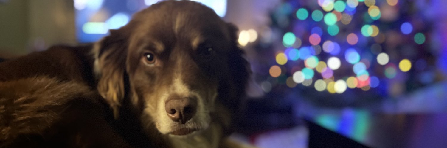 FurrowJake's profile banner image