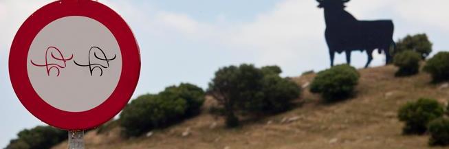 braviland banner