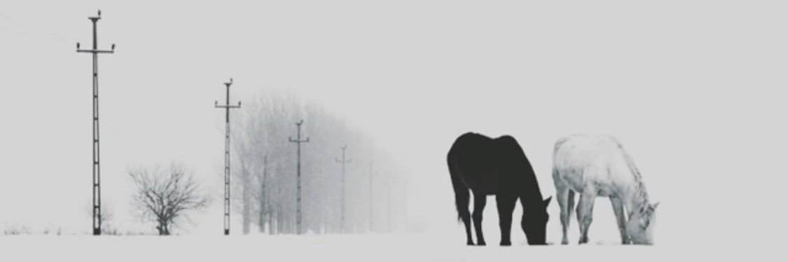 M7gni's profile banner image