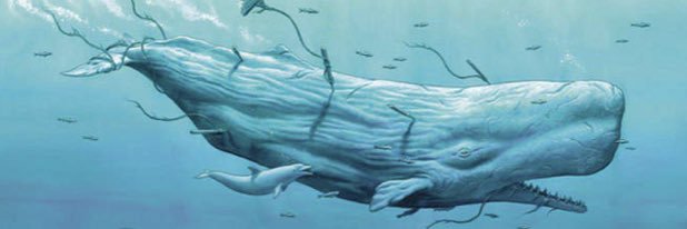 Mobyahab's profile banner image