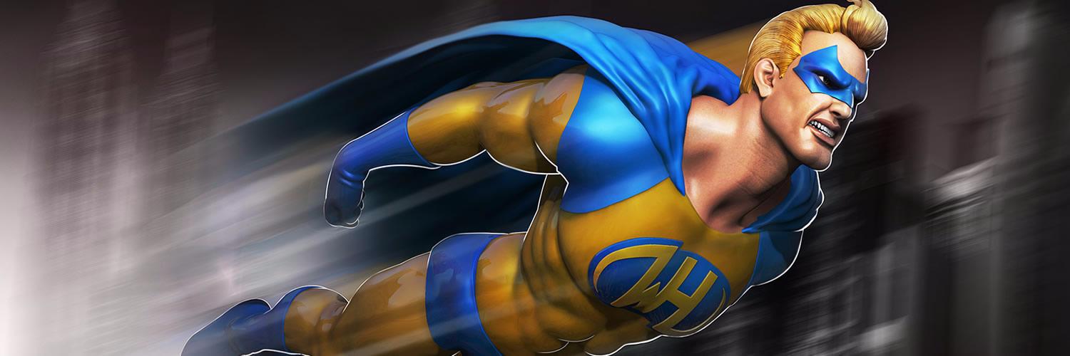 WebHostingHero banner