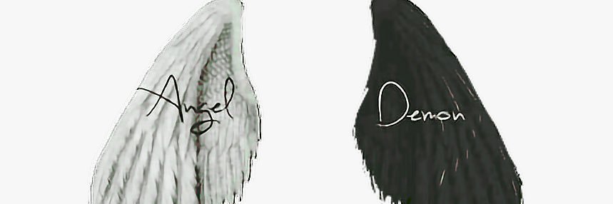 wolfiyana's profile banner image