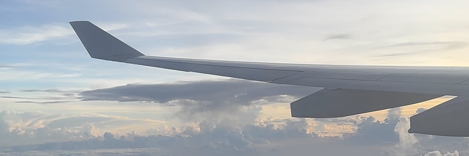 🅒 rismund 🦖 banner