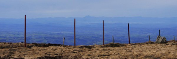 delottef Profile Banner