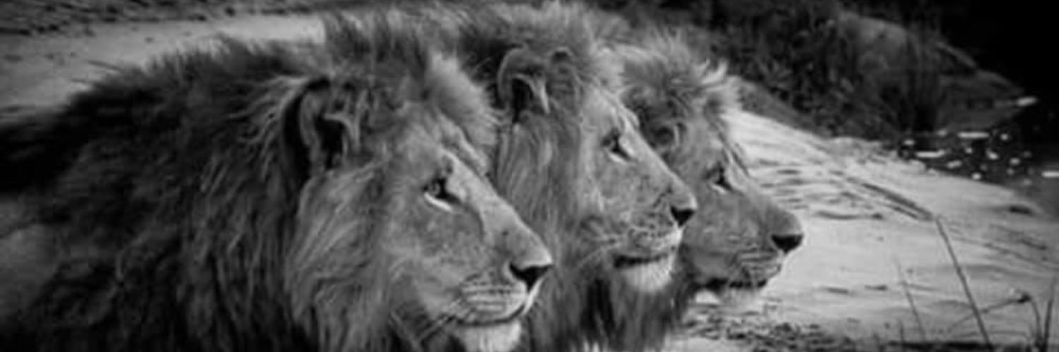 revkev24's profile banner image