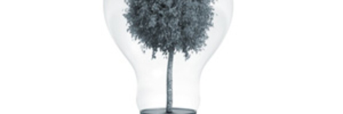 🇫🇷 Raphaël1827 #R!#FXB#NS banner