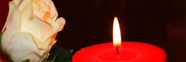 alfisaly's profile banner image