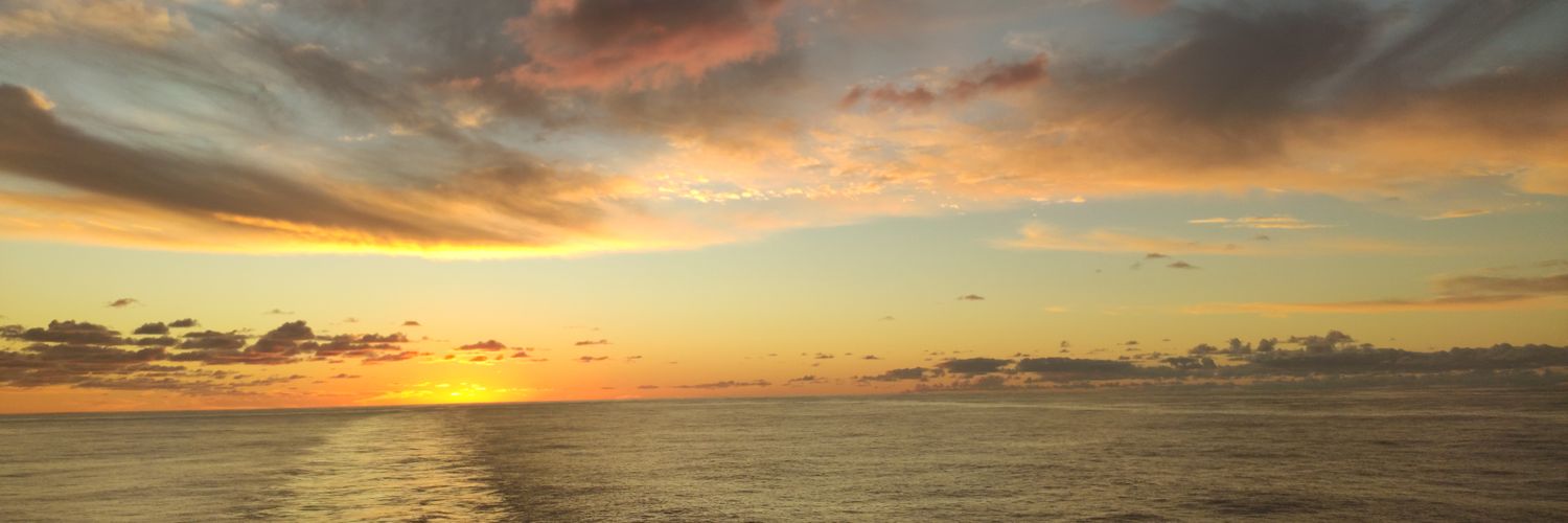 UlasGozutok's profile banner image