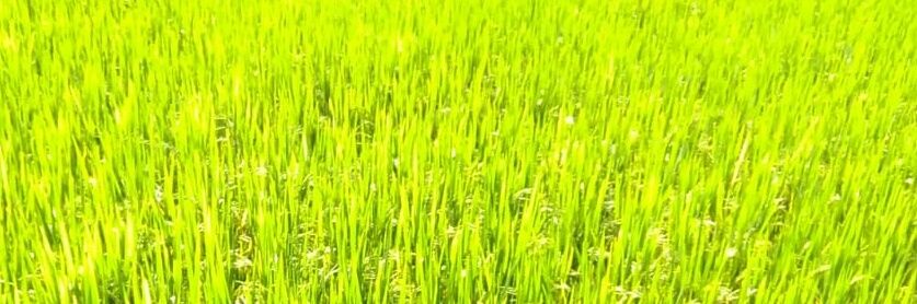Baala1's profile banner image
