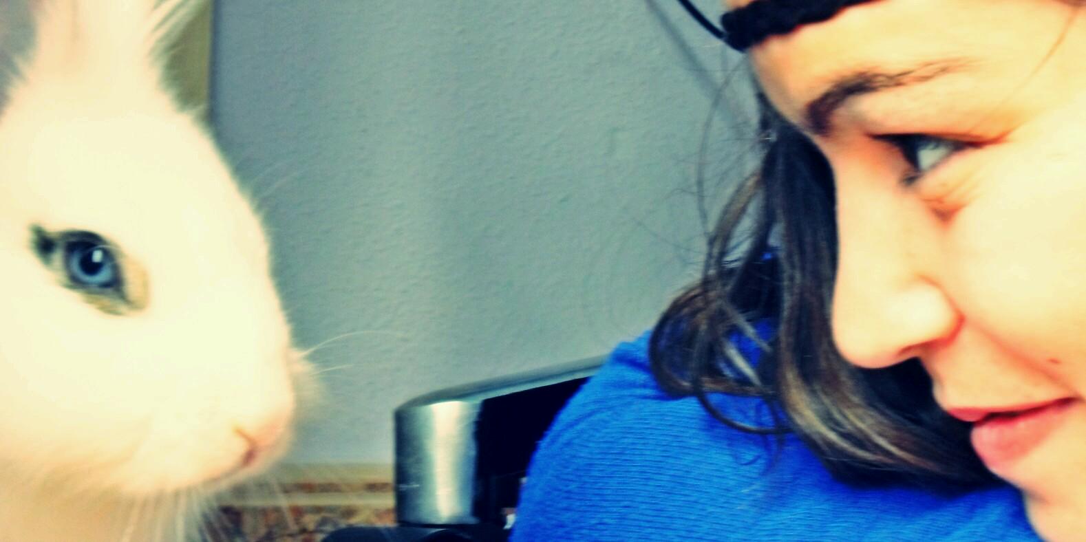 Alba_bixyna's profile banner image