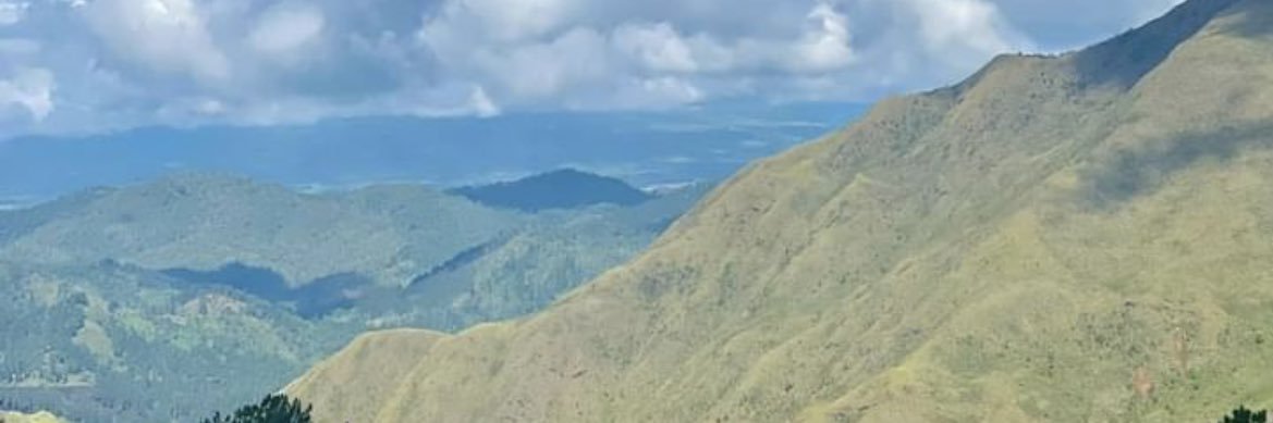 jedisnotabully's profile banner image