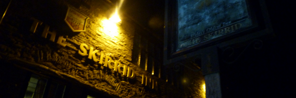 CalamityHorror Profile Banner
