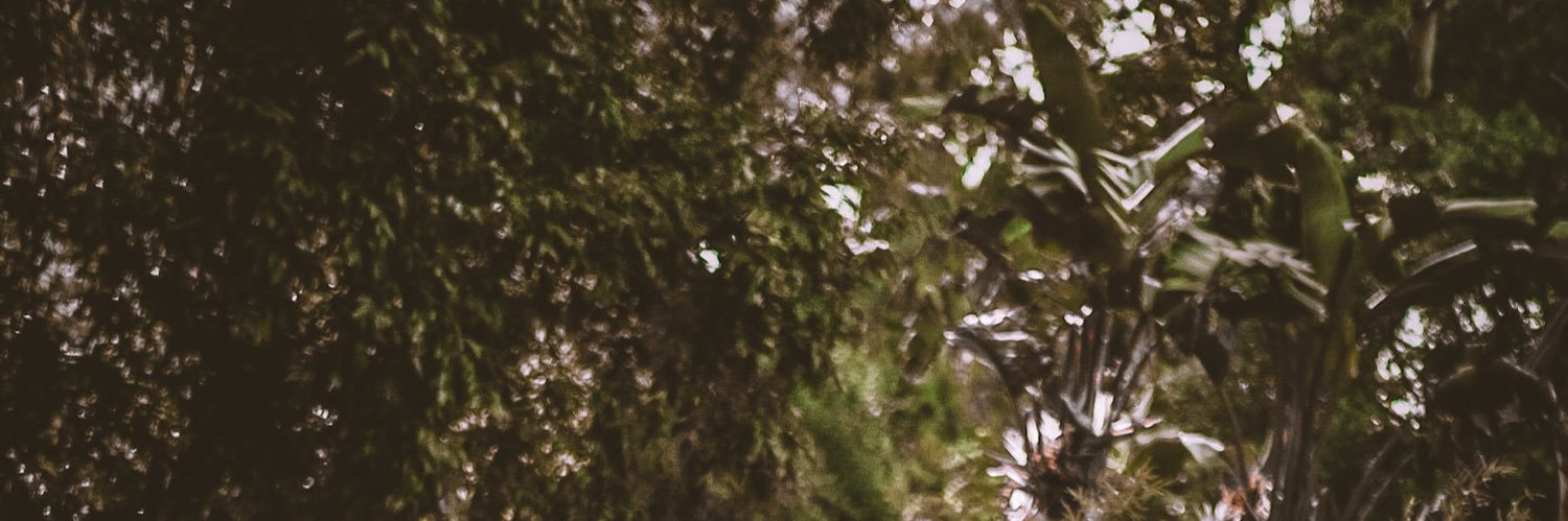 facorrx's profile banner image