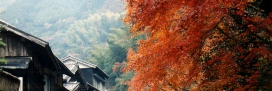 ljplaughs's profile banner image