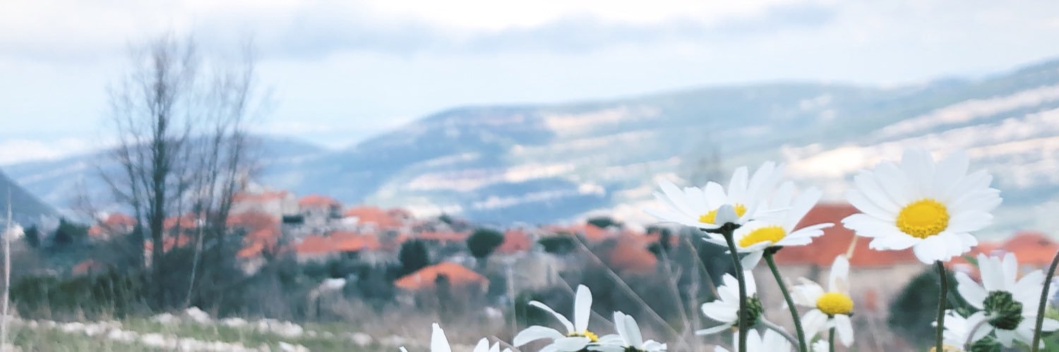 MoussaMarguy's profile banner image