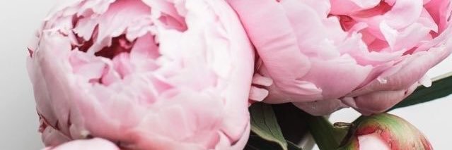 _LillyLight_'s profile banner image