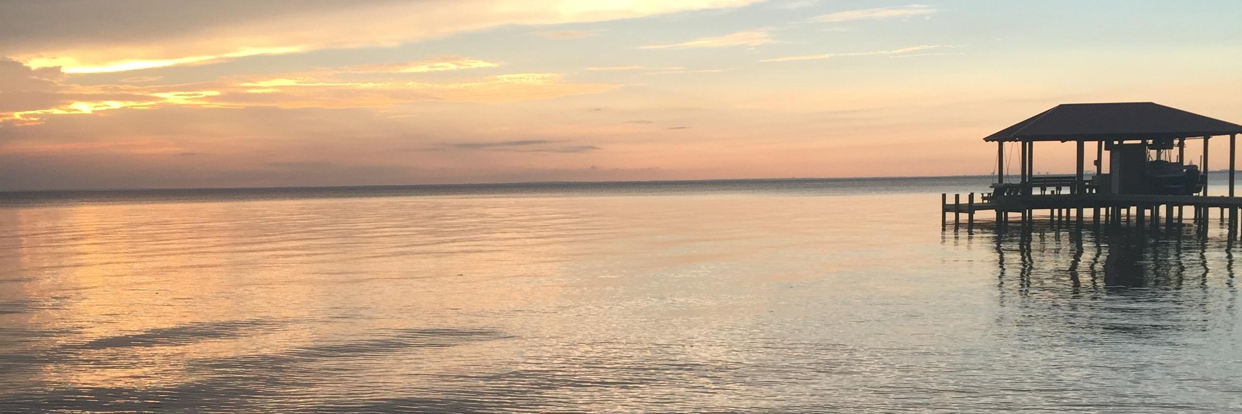 farrah forbes banner