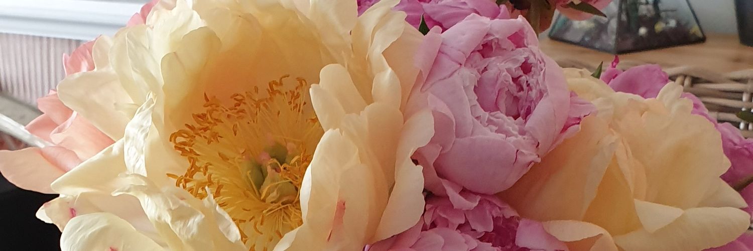 Jaimie_Hellbow's profile banner image