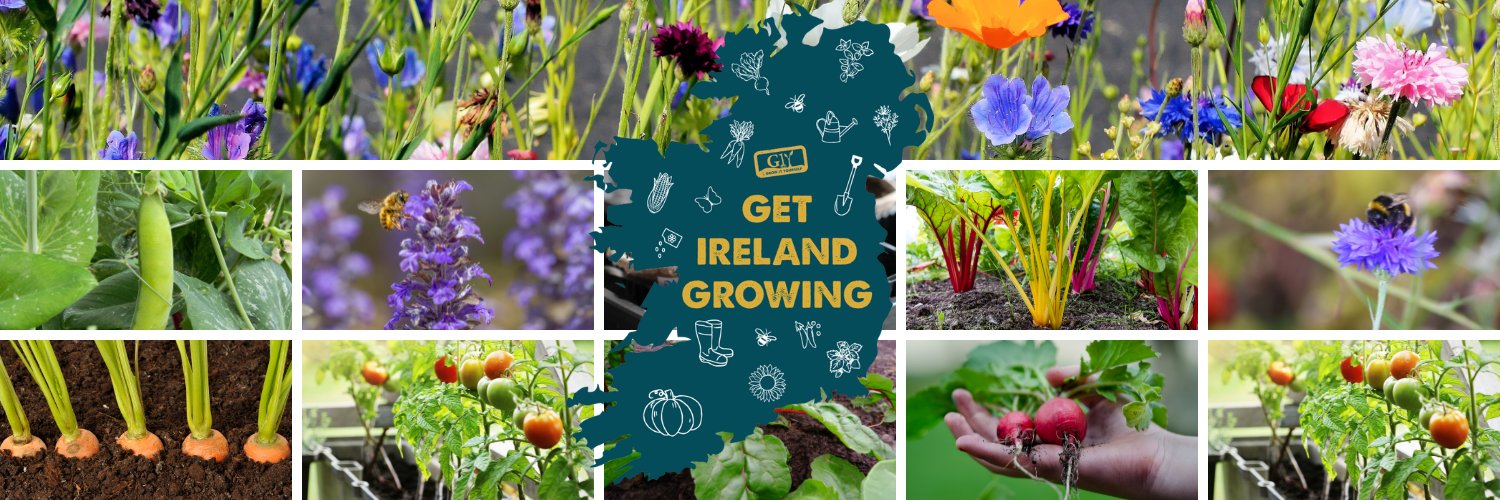 giyireland's profile banner image