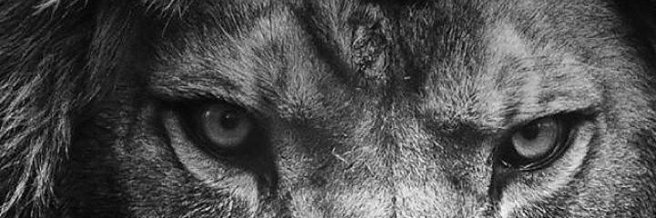 atmacaby's profile banner image