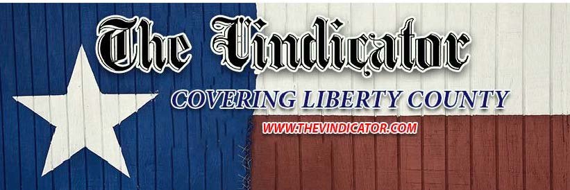 LibertyVindicator banner