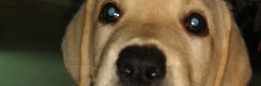 Juanma garcia banner