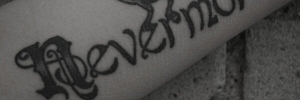 vargasl Profile Banner