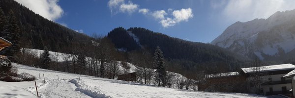 RadicalHystery Profile Banner