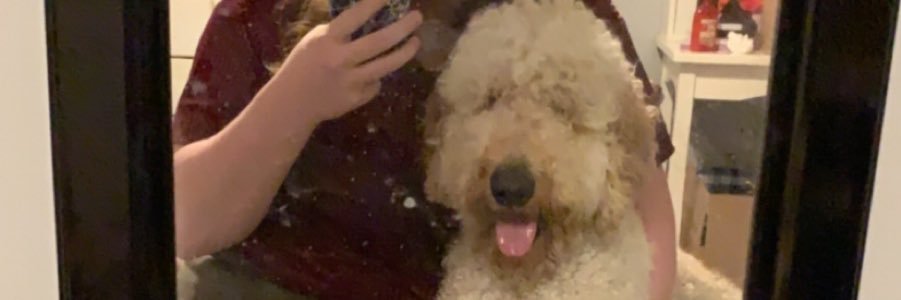 Abby banner