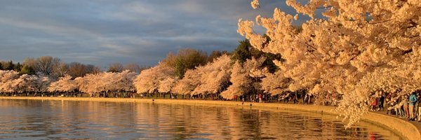 CDrakeFairTrade Profile Banner