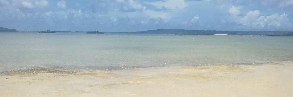 prismore21's profile banner image