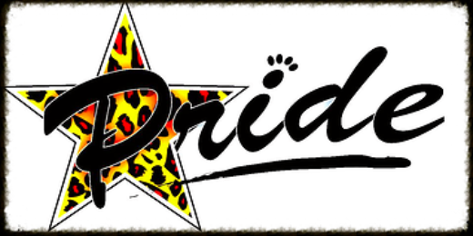 CheerPride's profile banner image