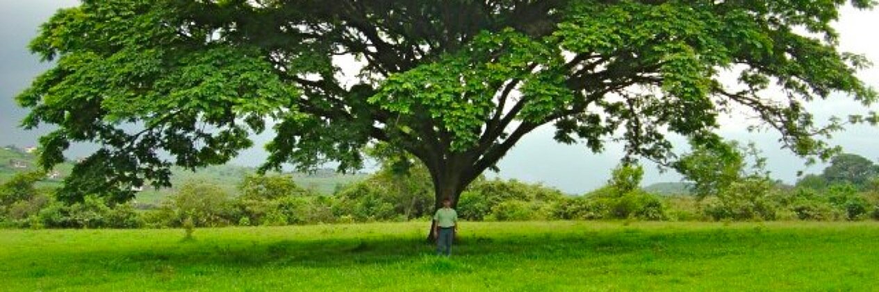 Juan Carlos Arbelaez banner