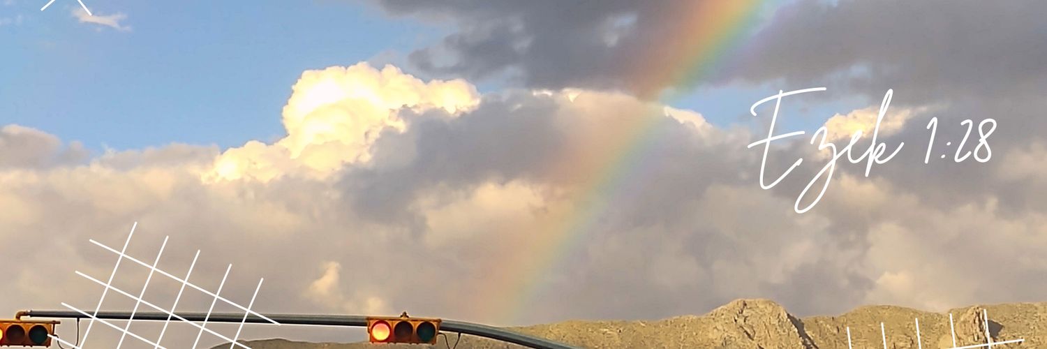 LiniceP's profile banner image