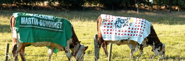 Guy__Moux Profile Banner