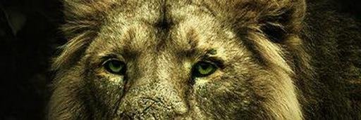 RockstarLender's profile banner image
