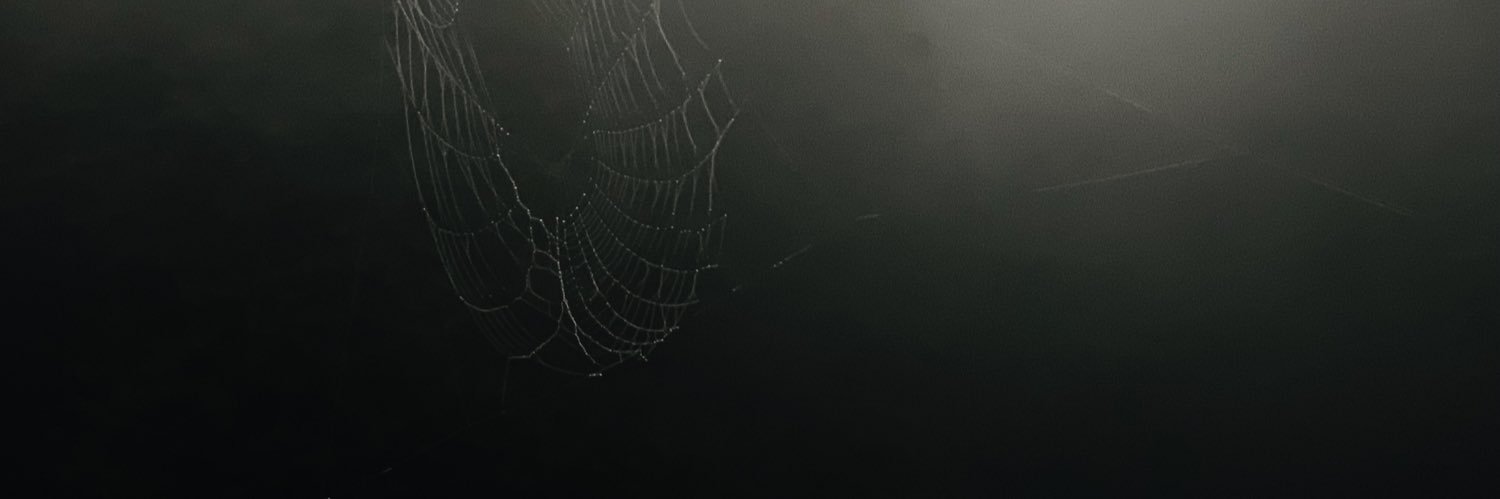 junetyj's profile banner image