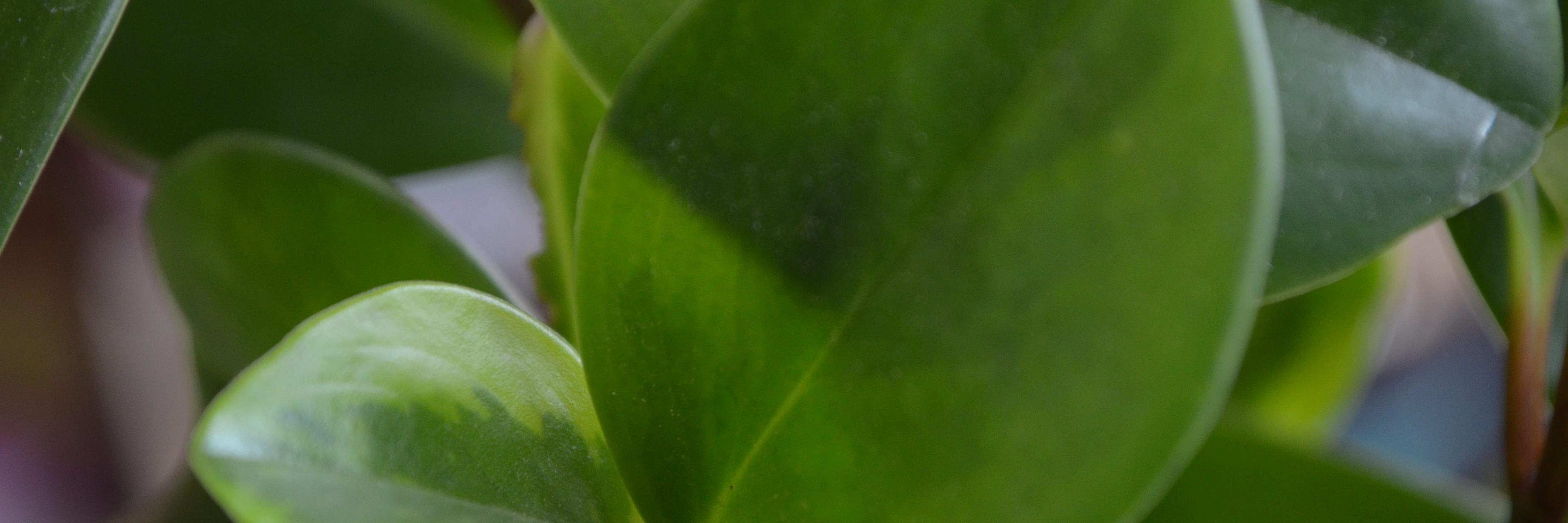 GABS_1508's profile banner image