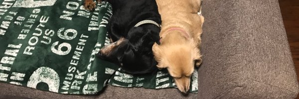 Morihideponn Profile Banner