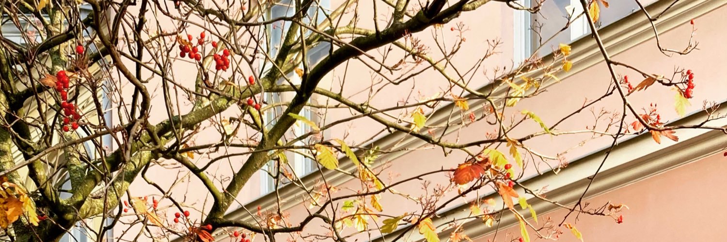 SallaMistola's profile banner image