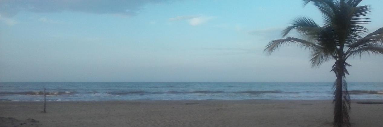 rmoros1's profile banner image