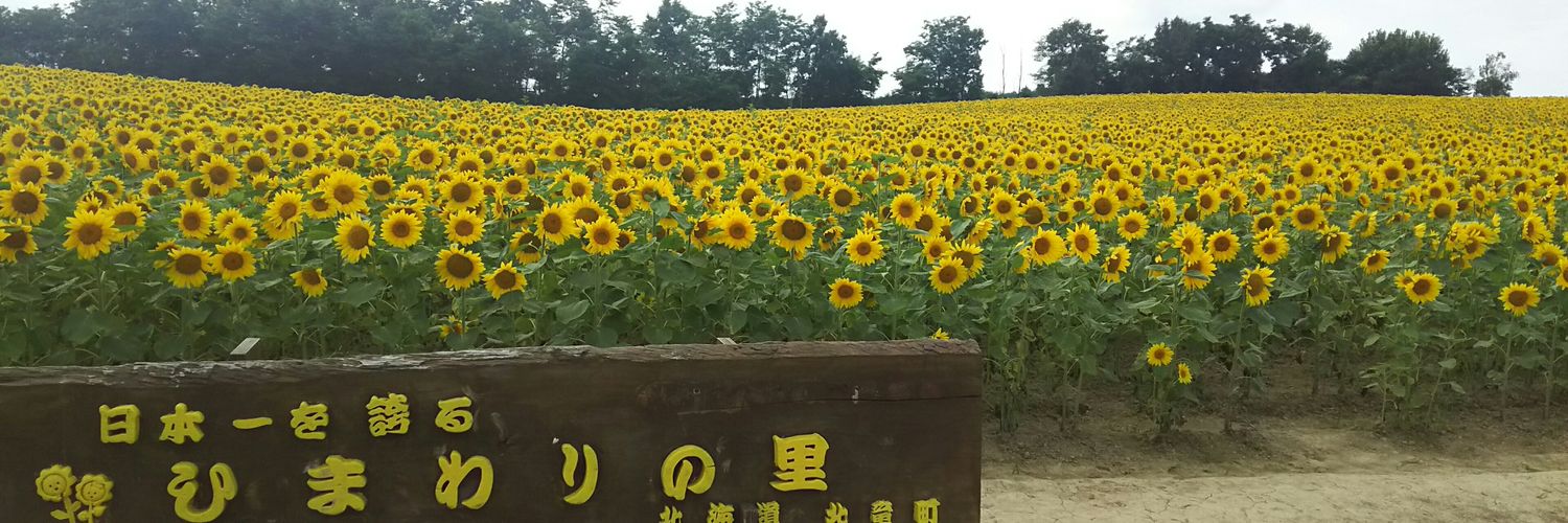nowriver22's profile banner image