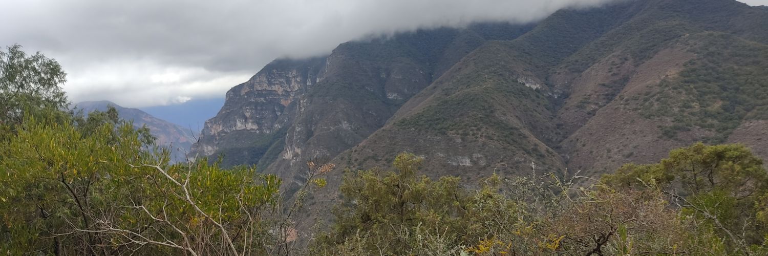 PericlesAddams's profile banner image
