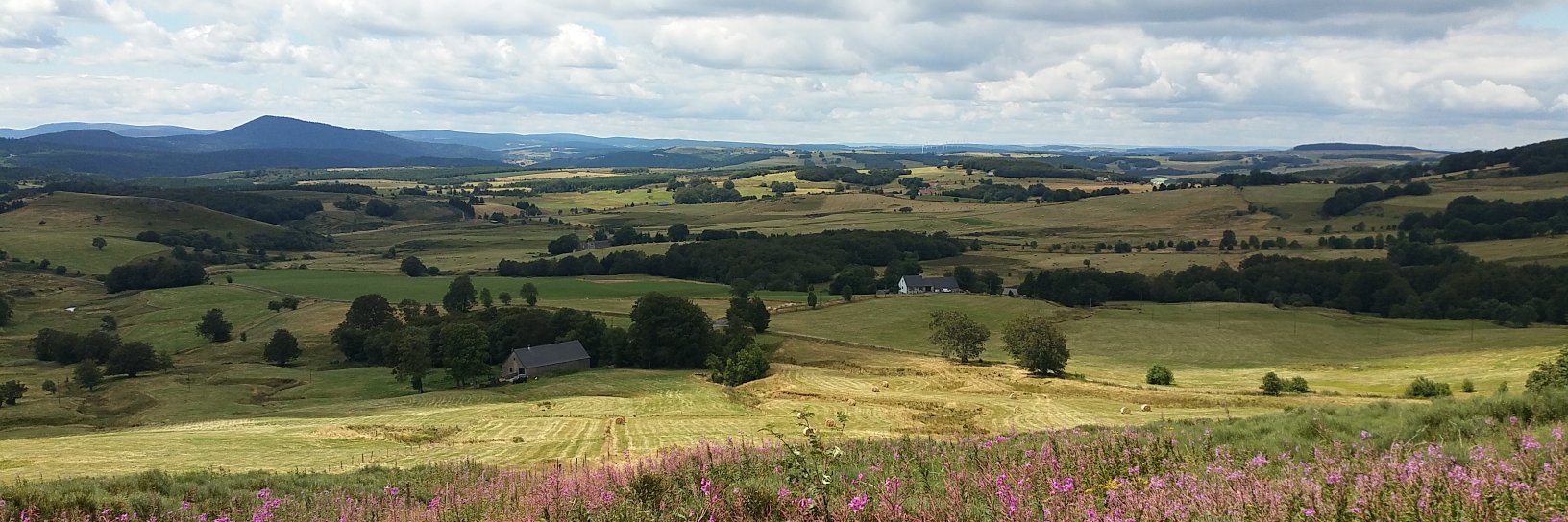 Grégory Plouviez banner