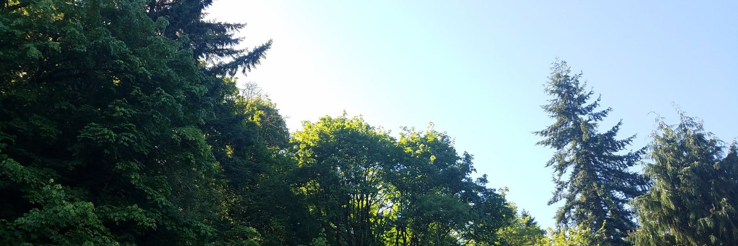 LouisPMoore's profile banner image