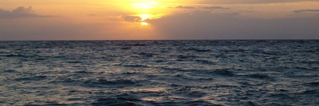 MarcosDeLoreto's profile banner image