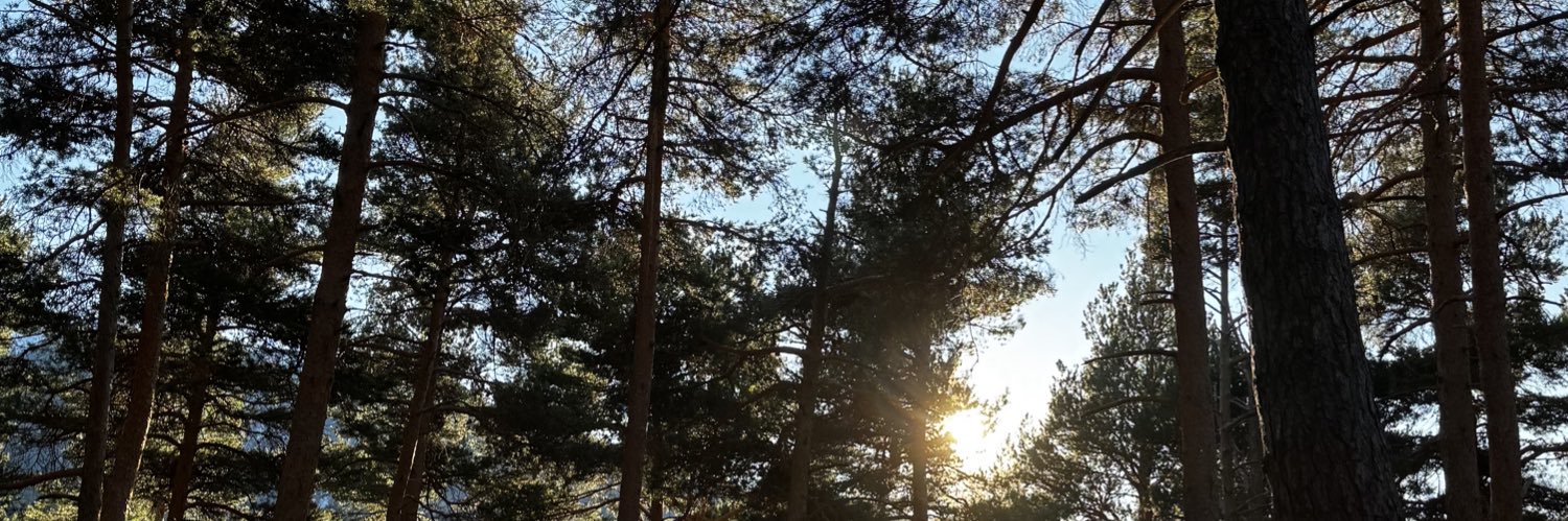 jess 🐦‍⬛ banner