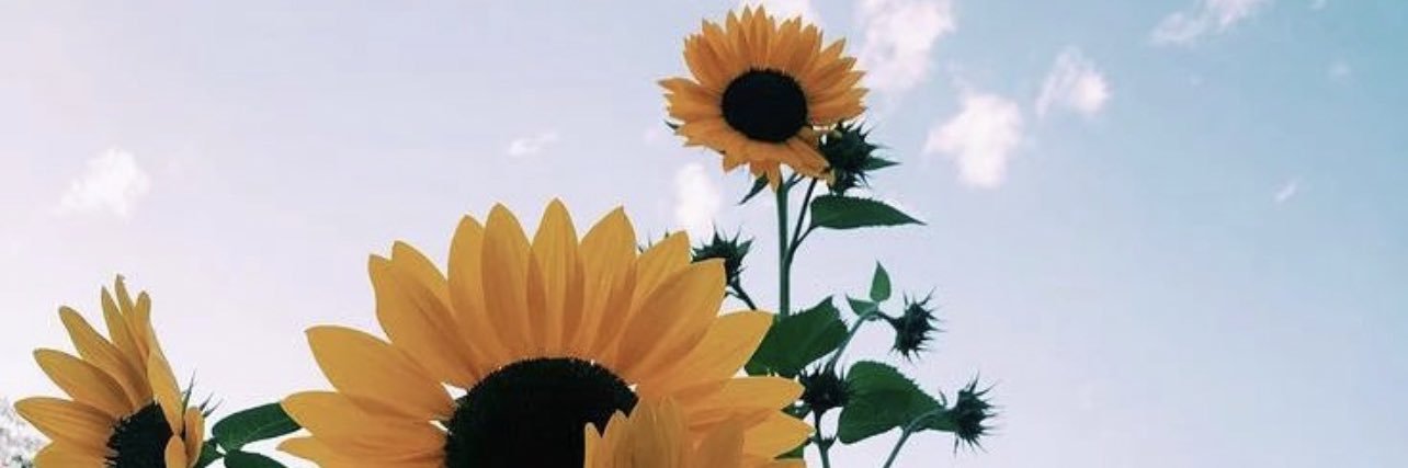 ann_edmiston's profile banner image