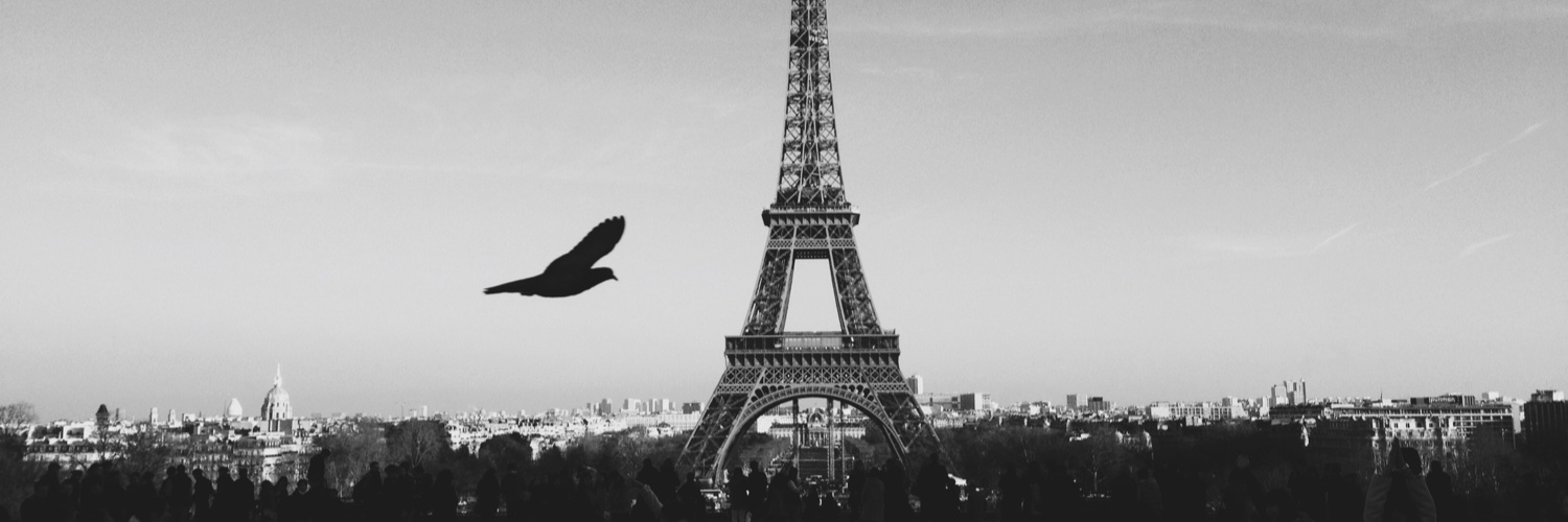 Oriol Ripalta Masó banner