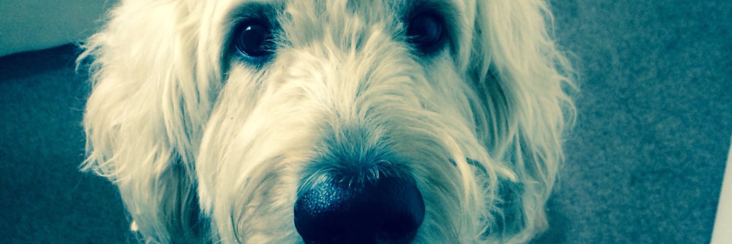 Tom_Golding94's profile banner image